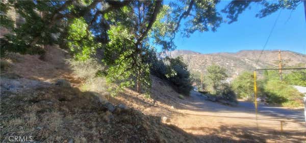 0 PINE CANYON, FRAZIER PARK, CA 93225 - Image 1