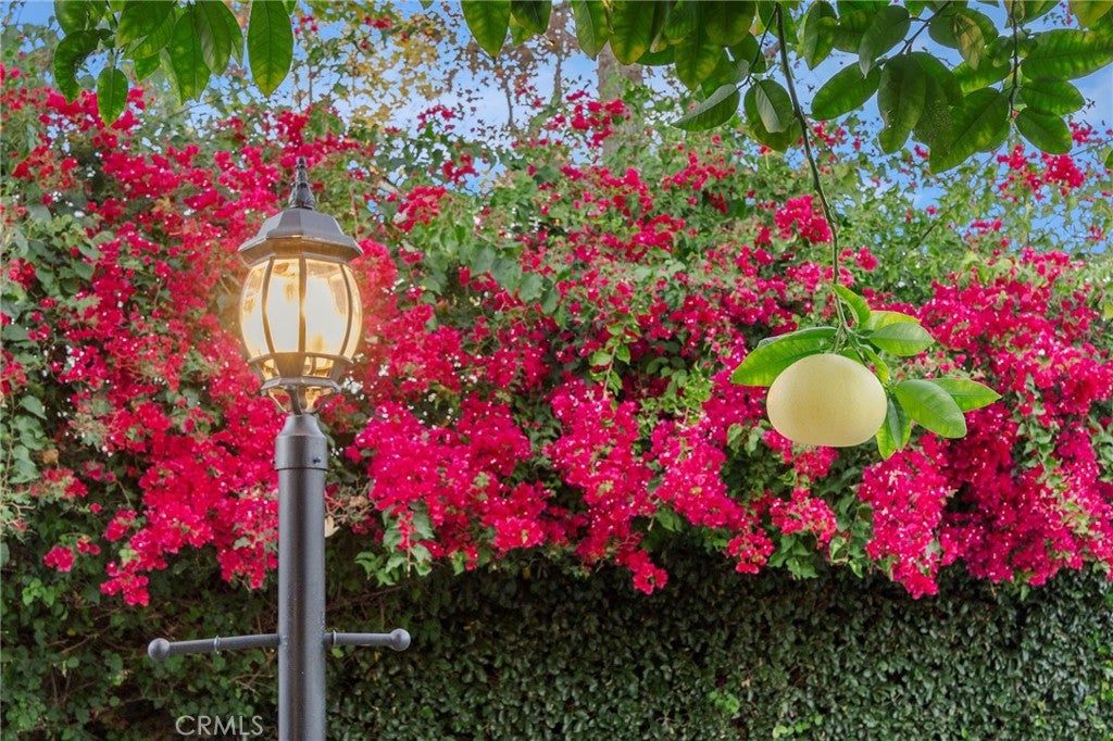 Chatsworth, California, 91311, United States, 4 Bedrooms Bedrooms, ,3 BathroomsBathrooms,Residential,Active,2006764