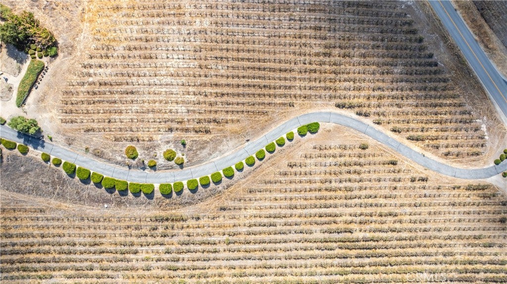 Paso Robles, California, 93446, United States, 3 Bedrooms Bedrooms, ,3 BathroomsBathrooms,Residential,Active,1954021