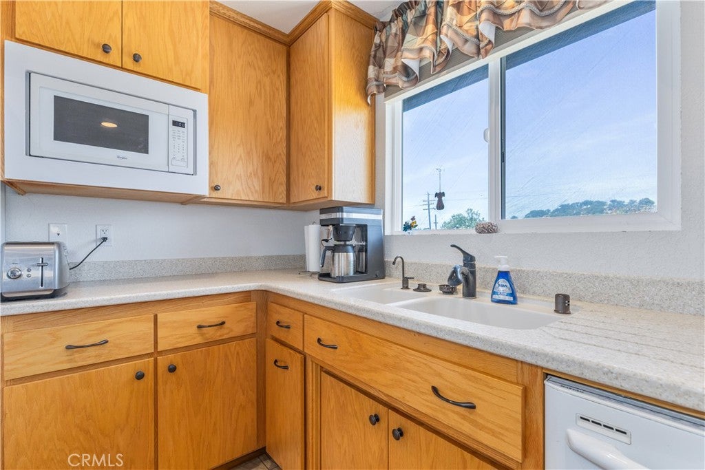 Paso Robles, California, 93446, United States, ,3 BathroomsBathrooms,Residential,Active,1853275