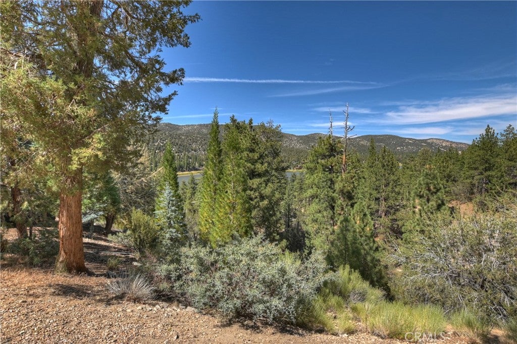 Big Bear Lake, California, 92315, United States, 4 Bedrooms Bedrooms, ,4 BathroomsBathrooms,Residential,Active,1905113