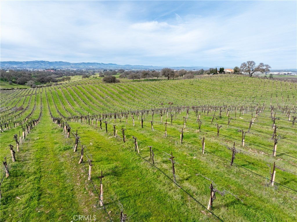 Paso Robles, California, 93446, United States, 7 Bedrooms Bedrooms, ,5 BathroomsBathrooms,Residential,Active,2012901