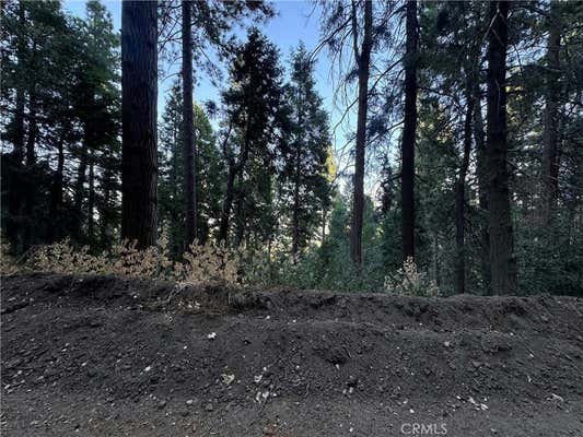 0 RESERVOIR ROAD, CEDARPINES PARK, CA 92322 - Image 1