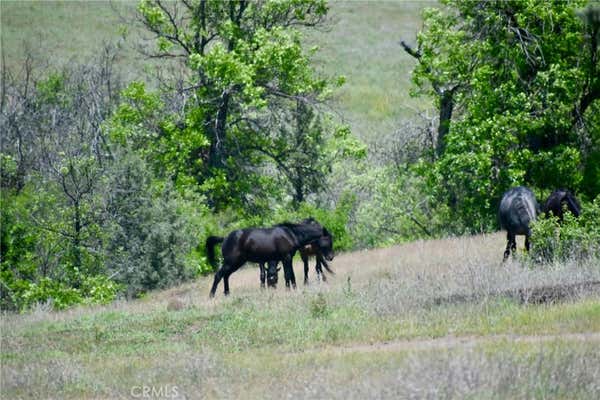 0 YELLOW DOG TRAIL, HORNBROOK, CA 96044 - Image 1