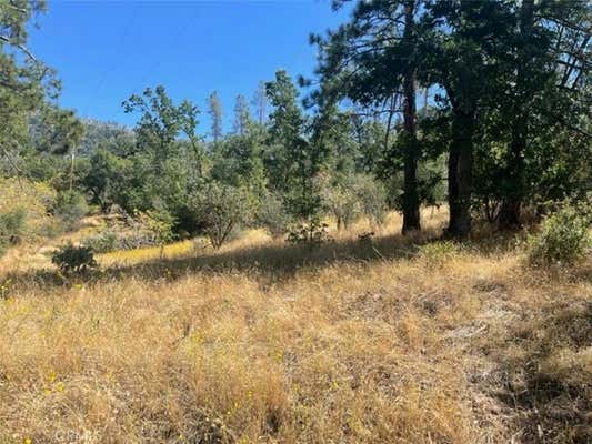 0 LOT 2 PECKINPAH ACRES DRIVE, NORTH FORK, CA 93643, photo 4 of 17