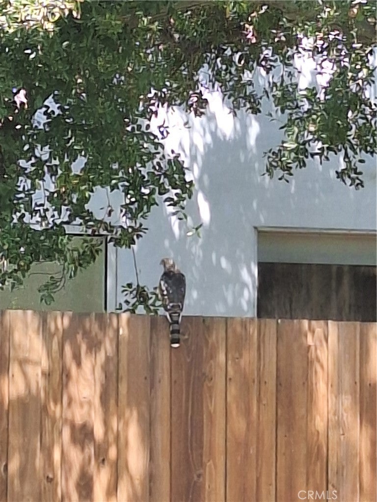 Studio City, California, 91604, United States, 5 Bedrooms Bedrooms, ,4 BathroomsBathrooms,Residential,Active,2006964