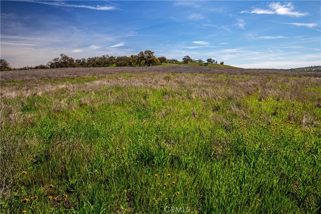 Paso Robles, California, 93446, United States, 2 Bedrooms Bedrooms, ,1 BathroomBathrooms,Residential,Active,1771479