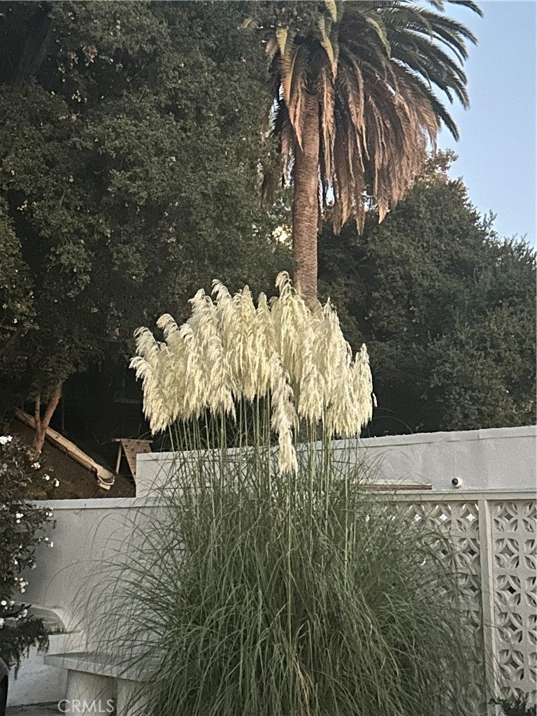 Pasadena, California, 91105, United States, 3 Bedrooms Bedrooms, ,3 BathroomsBathrooms,Residential,Active,2027742