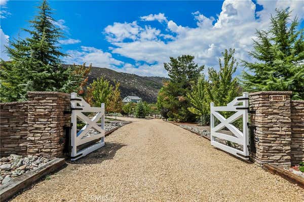 59333 HOP PATCH SPRING RD, MOUNTAIN CENTER, CA 92561 - Image 1