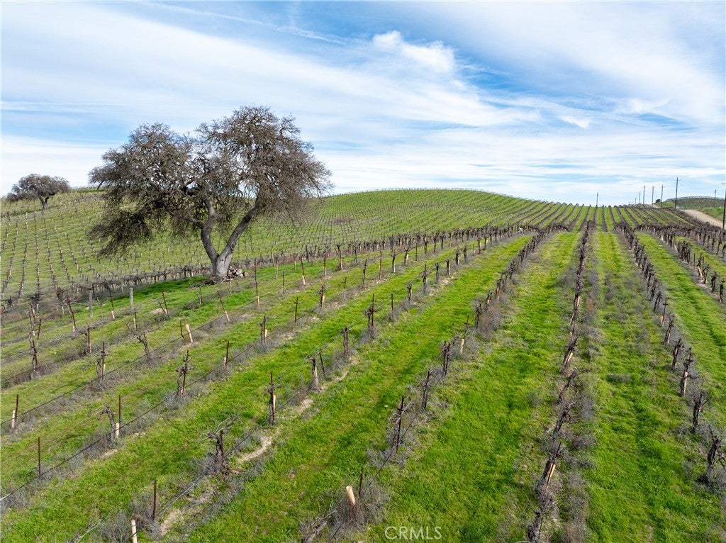 Paso Robles, California, 93446, United States, 7 Bedrooms Bedrooms, ,5 BathroomsBathrooms,Residential,Active,2012901