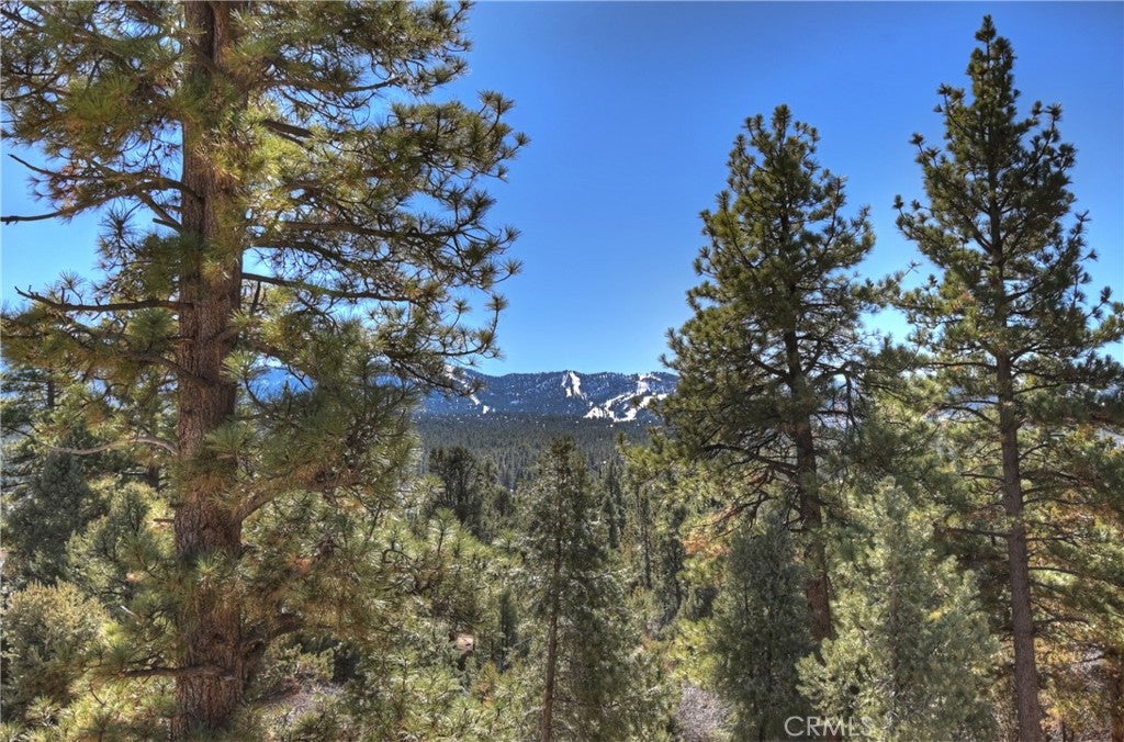 Big Bear City, California, 92314, United States, 7 Bedrooms Bedrooms, ,6 BathroomsBathrooms,Residential,Active,1998760