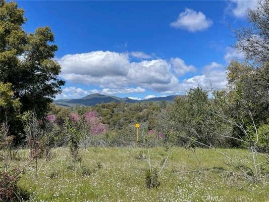 0 77.73 AC TWO HILLS ROAD, NORTH FORK, CA 93643 - Image 1