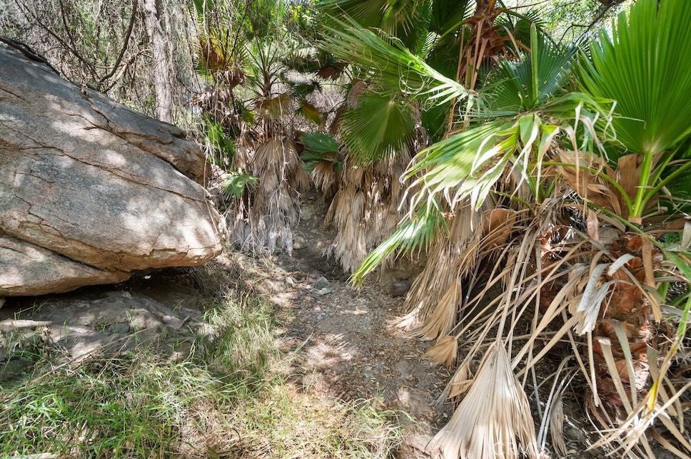 Fallbrook, California, 92028, United States, 3 Bedrooms Bedrooms, ,2 BathroomsBathrooms,Residential,Active,1820329