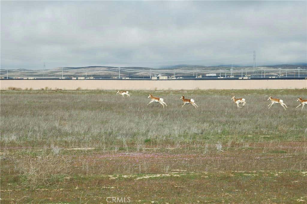 0 ARROW BEAR TRAIL, CALIFORNIA VALLEY, CA 93453, photo 1 of 14