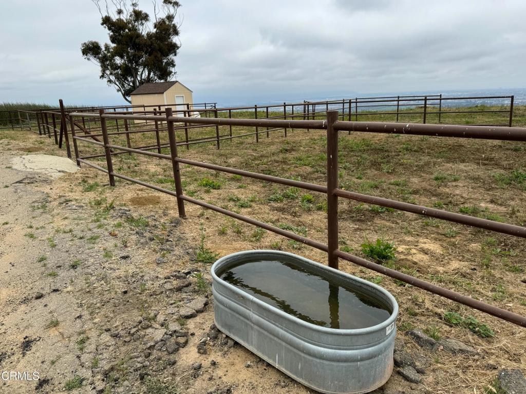 Ventura, California, 93003, United States, 4 Bedrooms Bedrooms, ,3 BathroomsBathrooms,Residential,Active,1990033