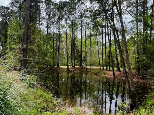 7810 TURTLE HILL LN, EDISTO ISLAND, SC 29438, photo 2 of 17