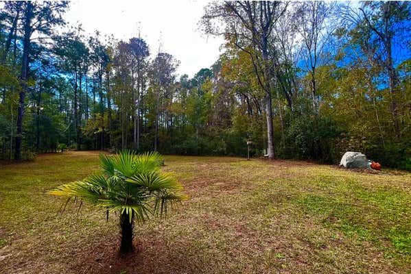 7810 TURTLE HILL LN, EDISTO ISLAND, SC 29438, photo 3 of 17