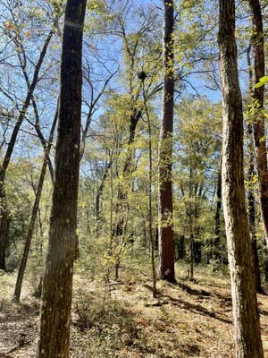 245 WARREN DR, MCCLELLANVILLE, SC 29458, photo 2 of 4