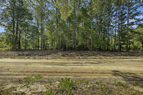 0 NEW BRIDGE ROAD, NICHOLS, SC 29581 - Image 1