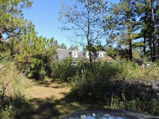 534 PINEFLAT RD, EUTAWVILLE, SC 29048 - Image 1