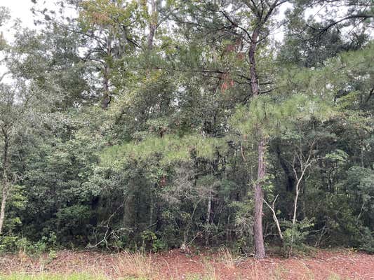 LOT B INDIGO HILL ROAD, EDISTO ISLAND, SC 29438 - Image 1