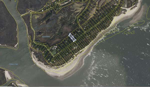 284 PELICAN FLIGHT DR, DEWEES ISLAND, SC 29451 - Image 1