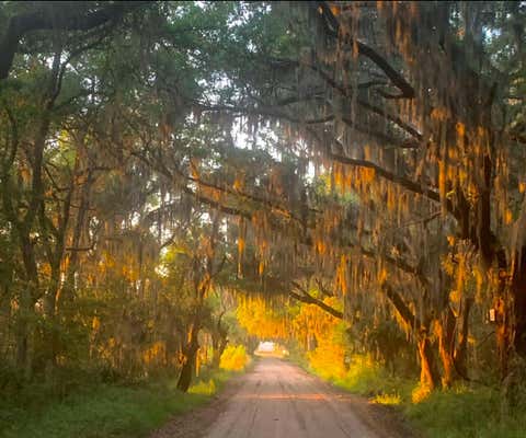 7810 TURTLE HILL LN, EDISTO ISLAND, SC 29438, photo 5 of 17