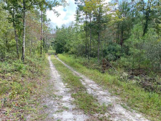 0 GREAT SWAMP ROAD, WALTERBORO, SC 29488 - Image 1