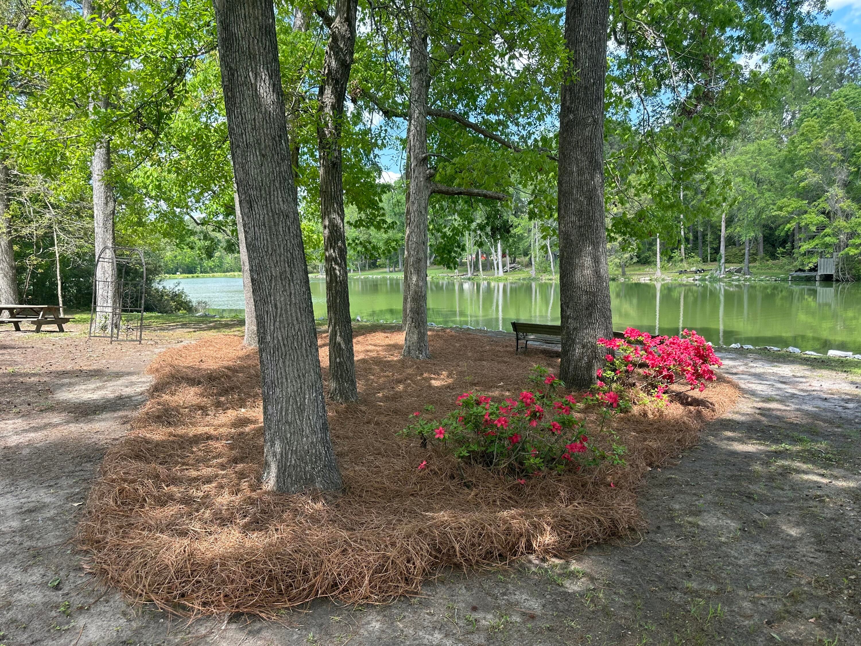 Summerville, South Carolina, 29483, United States, 5 Bedrooms Bedrooms, ,4 BathroomsBathrooms,Residential,Active,1823957