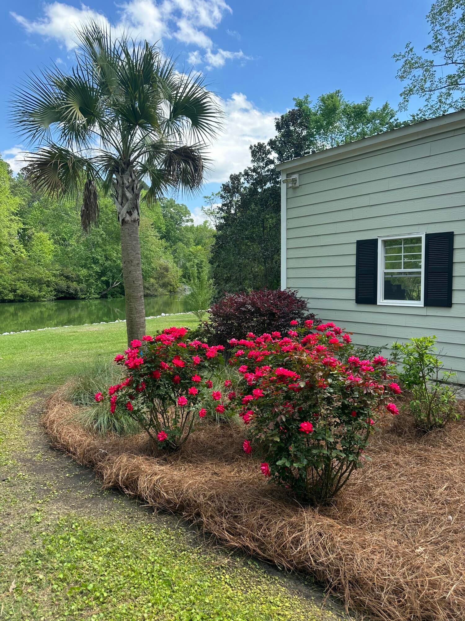 Summerville, South Carolina, 29483, United States, 5 Bedrooms Bedrooms, ,4 BathroomsBathrooms,Residential,Active,1823957