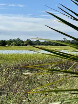 7783 LEGARE RD, EDISTO ISLAND, SC 29438 - Image 1