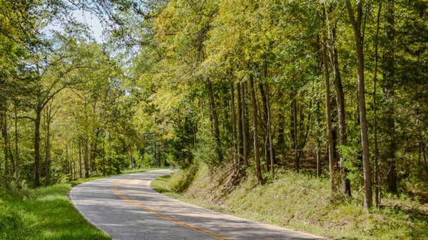 0 W ASBURY ROAD ROAD, PACOLET, SC 29372 - Image 1