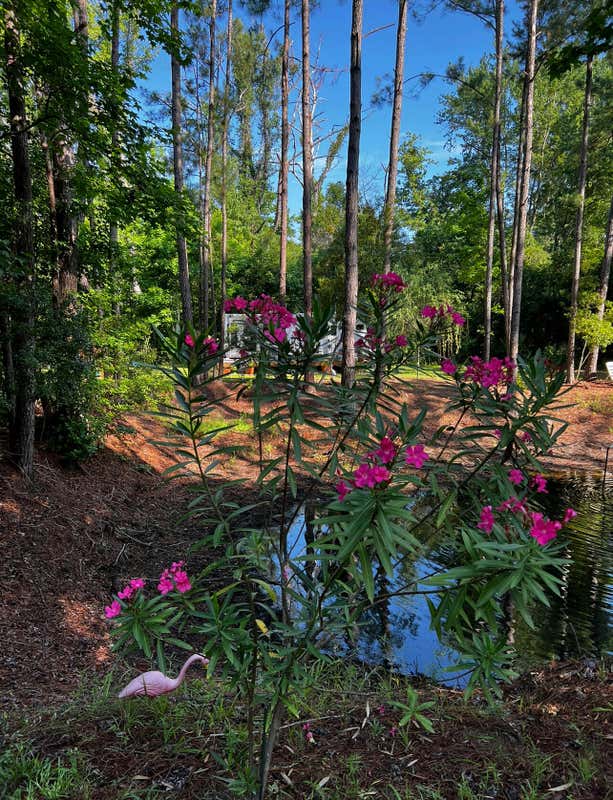 7810 TURTLE HILL LN, EDISTO ISLAND, SC 29438, photo 1 of 17