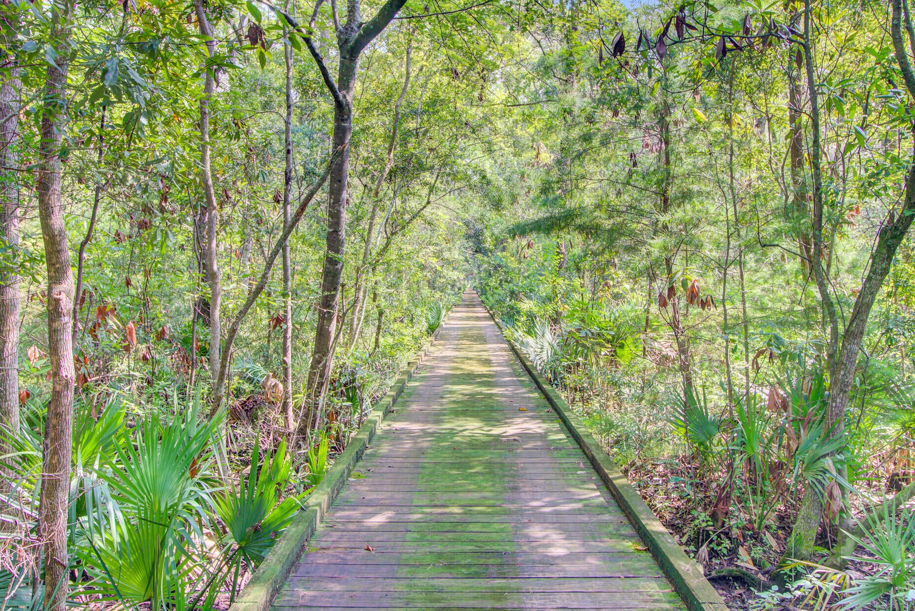 Summerville, South Carolina, 29485, United States, 4 Bedrooms Bedrooms, ,5 BathroomsBathrooms,Residential,Active,1919056