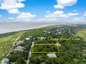 1111 OCEAN FOREST LN, SEABROOK ISLAND, SC 29455, photo 5 of 39