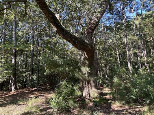 4 C SEBAGO ROAD, MEGGETT, SC 29449, photo 2 of 12