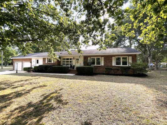 194 FERNDALE RD, COPE, SC 29038 - Image 1