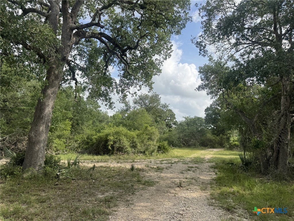 Louise, Texas, 77455, United States, ,1 BathroomBathrooms,Residential,Active,1798138