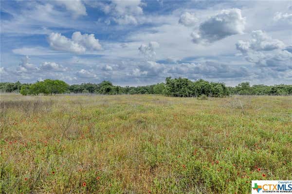 TBD CR 113 STREET, NIXON, TX 78140, photo 5 of 11