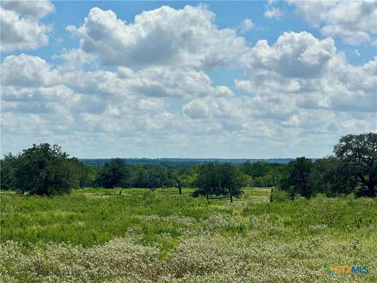 TRACT C & D COUNTY ROAD 390, GONZALES, TX 78629 - Image 1