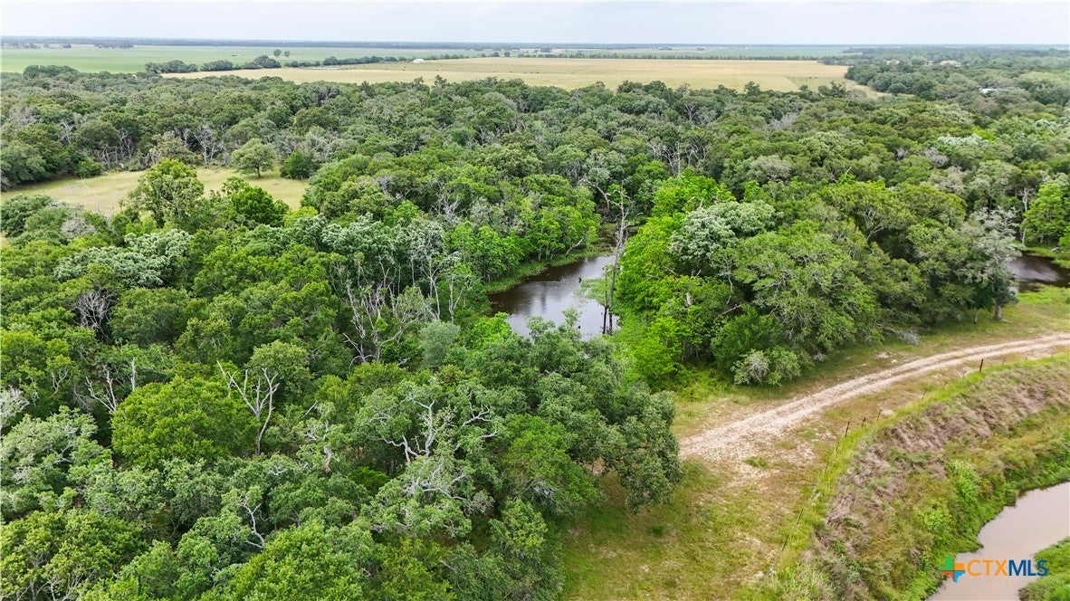 Louise, Texas, 77455, United States, ,1 BathroomBathrooms,Residential,Active,1798138