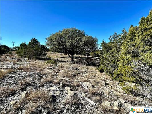 TBD LOT 85 PR 4212, EVANT, TX 76525, photo 5 of 14