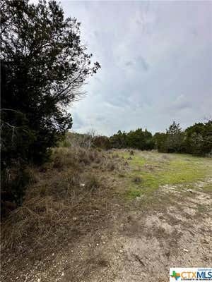 235 CANYON SPRINGS DR, CANYON LAKE, TX 78133, photo 2 of 4