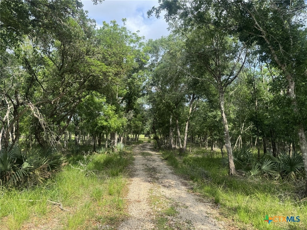 Louise, Texas, 77455, United States, ,1 BathroomBathrooms,Residential,Active,1798138