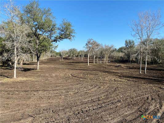 TBD FM 1351, GOLIAD, TX 77963 - Image 1