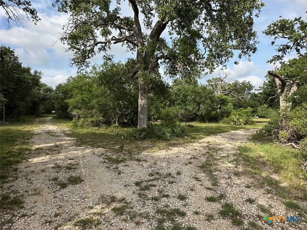 Louise, Texas, 77455, United States, ,1 BathroomBathrooms,Residential,Active,1798138