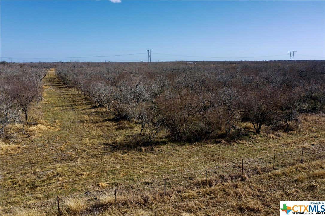 TBD FANNIN - TRACT A, GOLIAD, TX 77963, photo 1 of 6