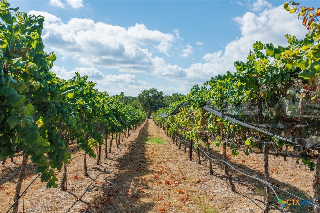 Round Mountain, Texas, 78663, United States, 4 Bedrooms Bedrooms, ,4 BathroomsBathrooms,Residential,Active,1966026