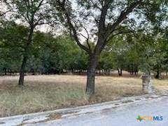 1409 E AVENUE H, LAMPASAS, TX 76550 - Image 1