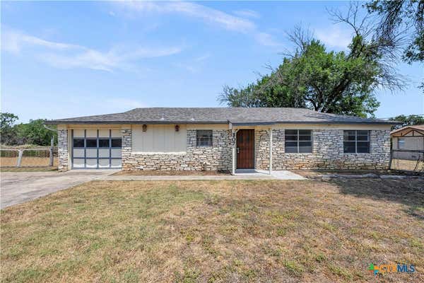 307 GOLDEN BEACH DR, BUCHANAN DAM, TX 78609 - Image 1